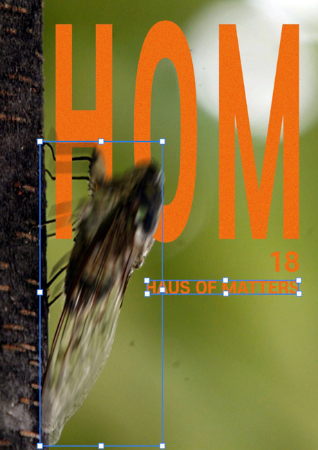 HOM #18